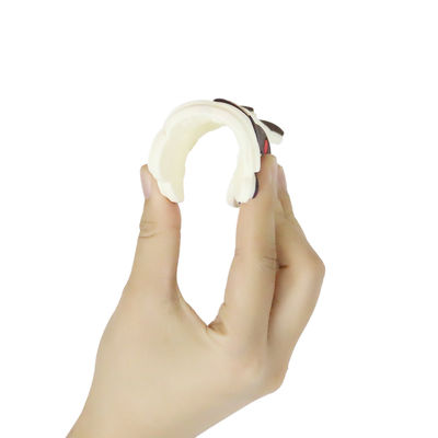 Silicone personale bambino variopinto Teether con il cavallo Dino Shape delle pecore