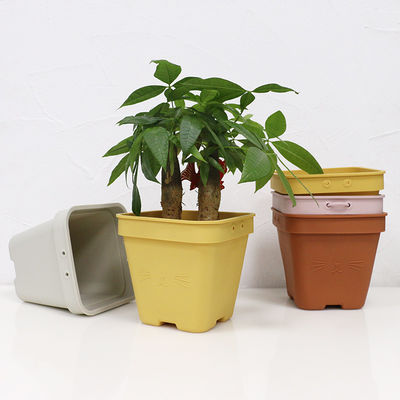Multi vaso di fiore funzionale del silicone Eco amichevole con il logo su misura