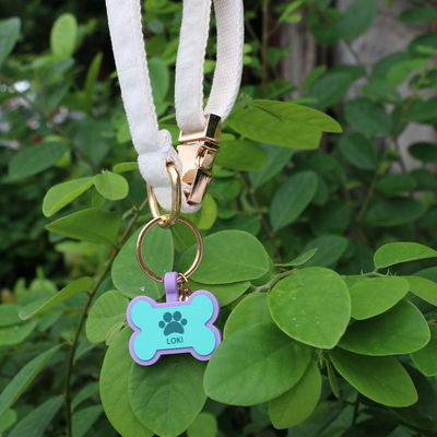 Etichette silenziose per cani in silicone senza BPA Etichette in collo per cani in silicone colorate in vendita Etichette uniche di identificazione per cani in silicone accessori