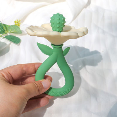 PAISEN Prodotti di masticazione per bambini con denti a base di fiori di qualità alimentare per bambini con denti di silicone
