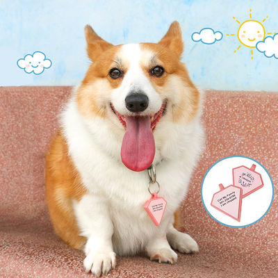 PAISEN Tag personalizzati per cani con codice QR 3D inciso Collare per cani per gatti Tag per animali da compagnia in silicone