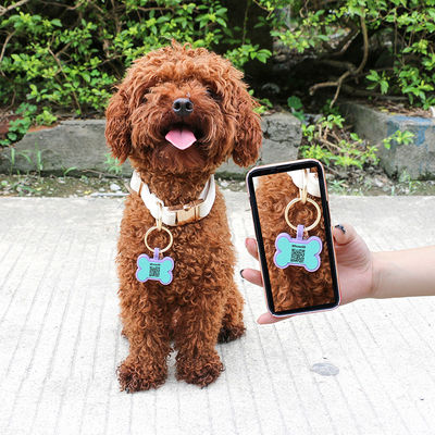 PAISEN Tag personalizzati per cani con codice QR 3D inciso Collare per cani per gatti Tag per animali da compagnia in silicone