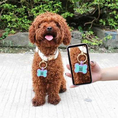 Ingrosso MOQ basso Bassa forma diversa molti colori per le opzioni silicone bianco tag cane nome ID tag