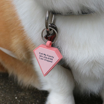 Ingrosso MOQ basso Bassa forma diversa molti colori per le opzioni silicone bianco tag cane nome ID tag