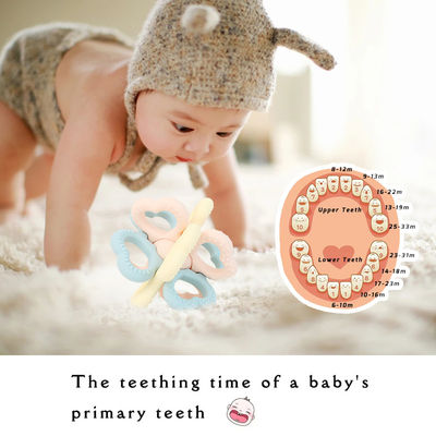 2025 Nuovo anello in silicone personalizzato Soft 3D Kids Baby Rattle Toy BPA-Free Food Grade Teething Toys Tremendo Soft Toy Teethers